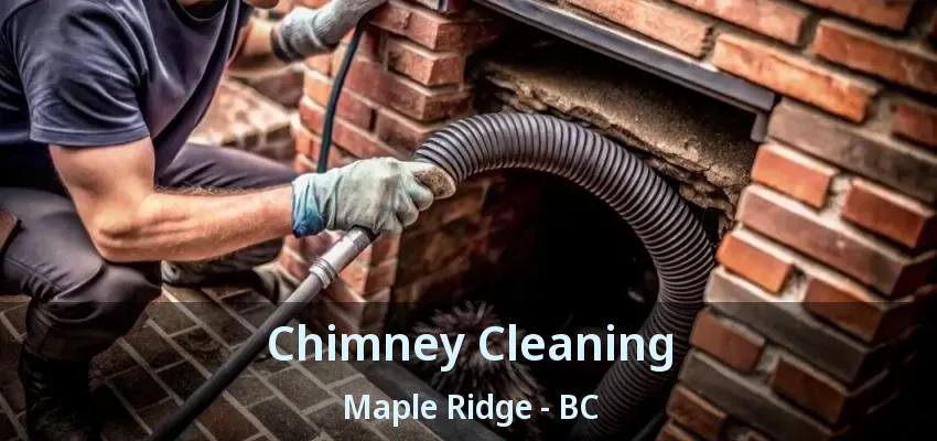 Chimney Cleaning Maple Ridge - BC