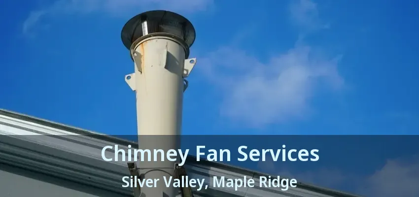 Chimney Fan Services Silver Valley, Maple Ridge - BC Chimney Fan Services Silver Valley, Maple Ridge - BC