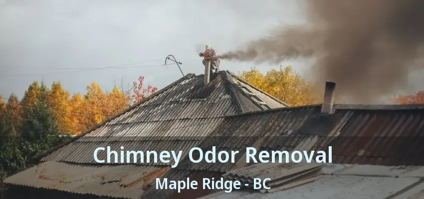 Chimney Odor Removal Maple Ridge - BC