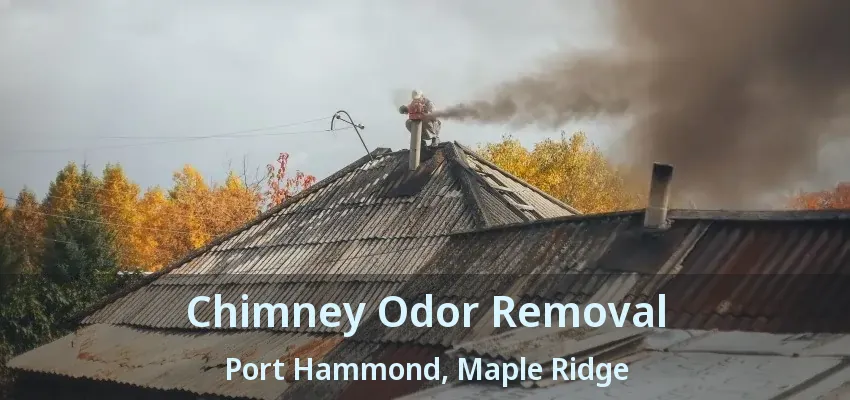 Chimney Odor Removal Port Hammond, Maple Ridge - BC