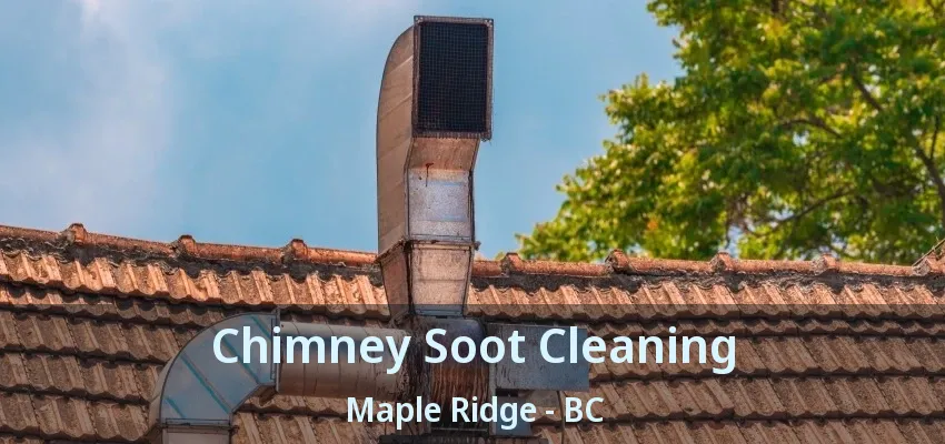 Chimney Soot Cleaning Maple Ridge - BC