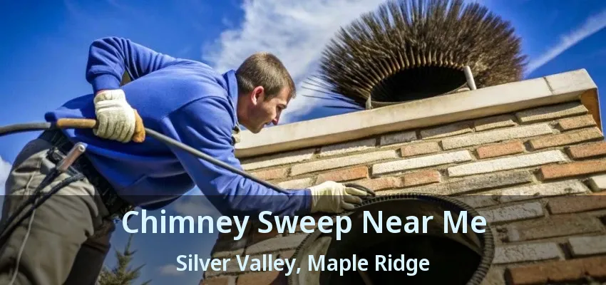 Chimney Sweep Near Me Silver Valley, Maple Ridge - BC