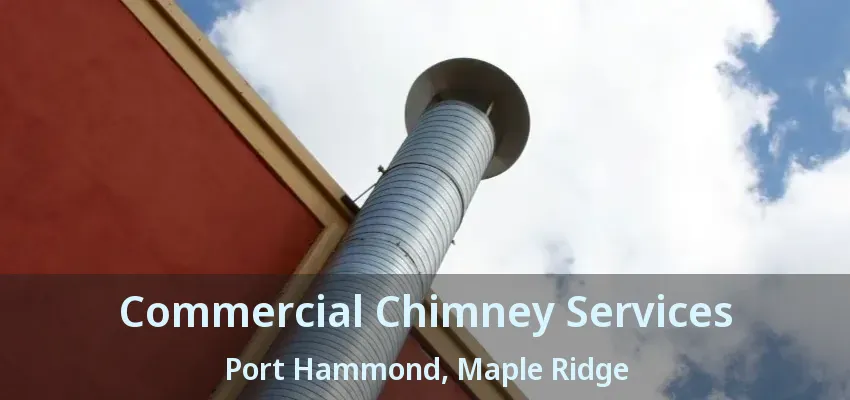 Commercial Chimney Services Port Hammond, Maple Ridge - BC