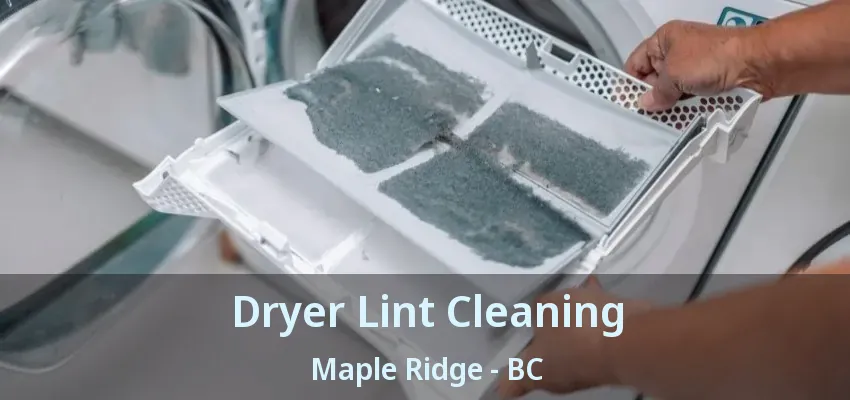 Dryer Lint Cleaning Maple Ridge - BC