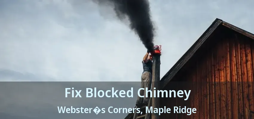 Fix Blocked Chimney Webster�s Corners, Maple Ridge - BC