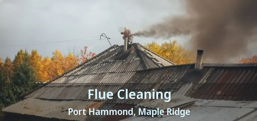 Flue Cleaning Port Hammond, Maple Ridge - BC