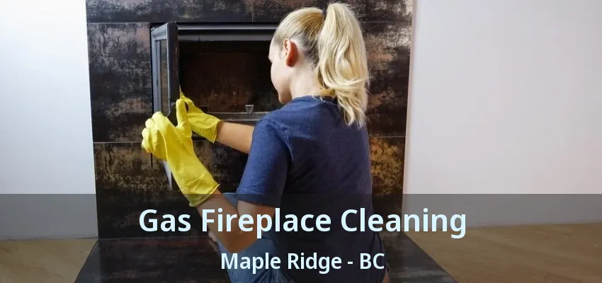 Gas Fireplace Cleaning Maple Ridge - BC