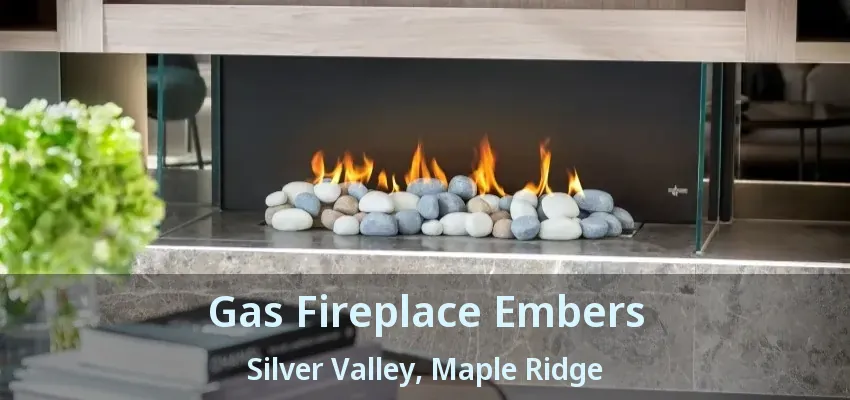 Gas Fireplace Embers Silver Valley, Maple Ridge - BC Gas Fireplace Embers Silver Valley, Maple Ridge - BC