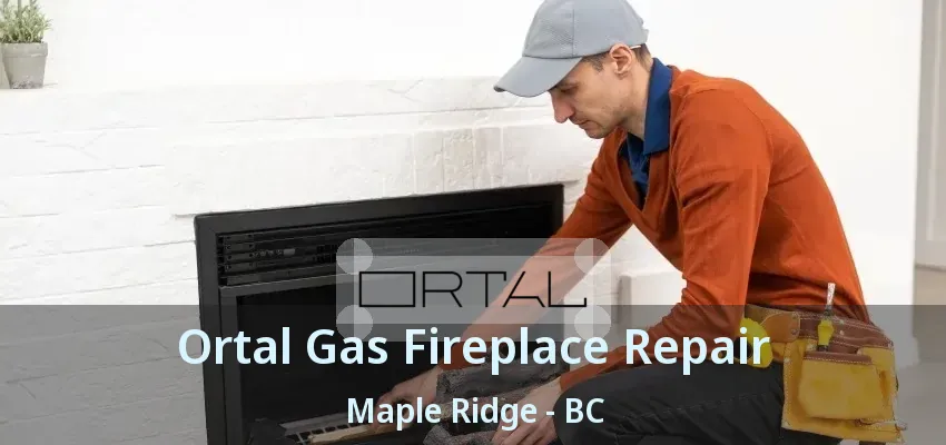 Ortal Gas Fireplace Repair Maple Ridge - BC
