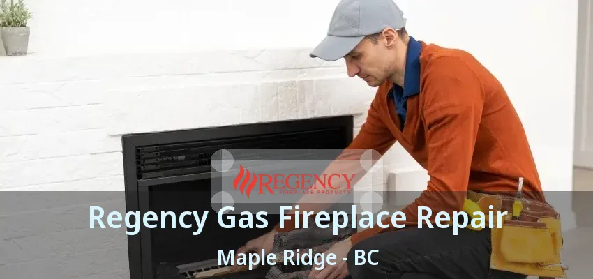 Regency Gas Fireplace Repair Maple Ridge - BC