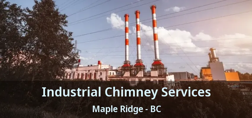 Industrial Chimney Services Maple Ridge - BC