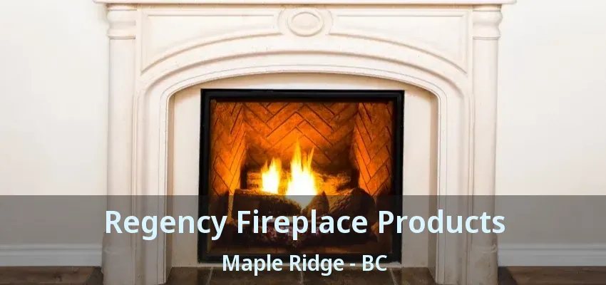 Regency Fireplace Products Maple Ridge - BC Regency Fireplace Products Maple Ridge - BC