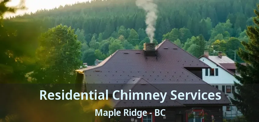 Residential Chimney Services Maple Ridge - BC