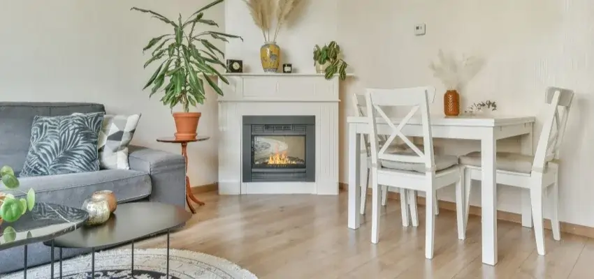Regency Fireplace Products in Maple Ridge